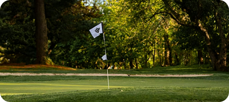 3-Flag Best Ball golf game format at BirdieMatch events